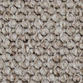 Ковролин Carpet Concept Eco Cut 40641