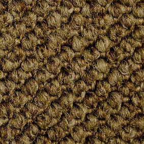  Carpet Concept Eco Cut