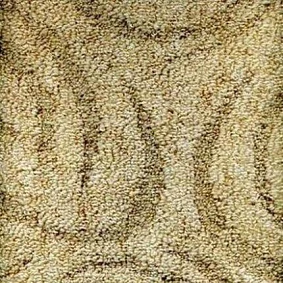  Domo 109