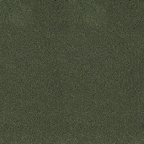  Desso Asteranne
