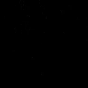  Desso1 Desso Flux Sw 2941