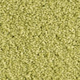  Balsan1