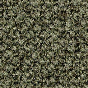 Ковролин Carpet Concept Eco Cut 60275