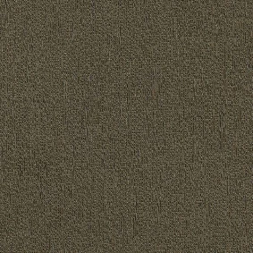  Interface 8557