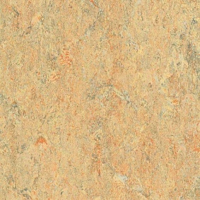  Armstrong2 Linorette Pur 127 070