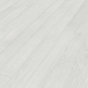  Kaindl 37582