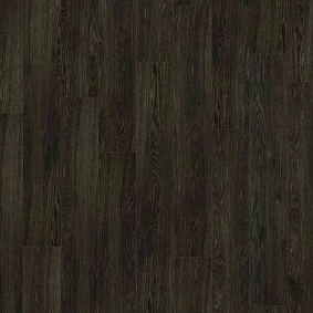  Armstrong5 Scala 100 Pur Wood 25015 185