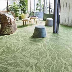  Balsan1 Balsan Forest Sonic Confort