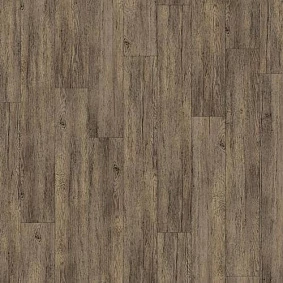  Armstrong5 Scala 100 Pur Wood 25105 164
