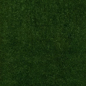  Stone Kovrolin Stoun 24 Green Grass
