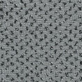  Ruscarpettiles Rct Apple