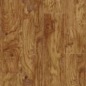  Eastern Hickory 422