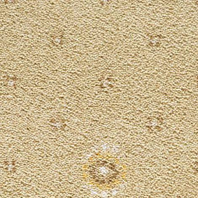  Condor Carpets
