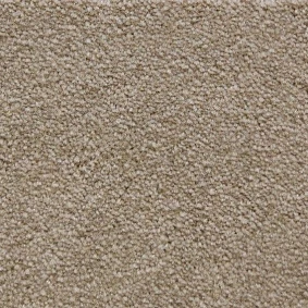  Radici Lord Cardamomo 327e