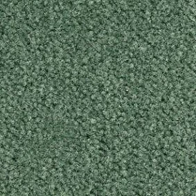  Balsan 280 Fougueux