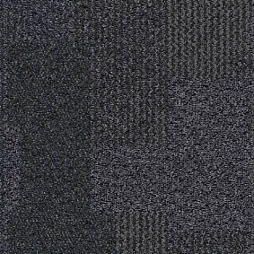  Interface 304196