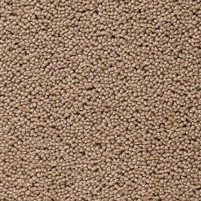  Best Wool Pure Brunel D40008