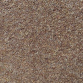  Ruscarpettiles Rct Status 93