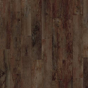 Линолеум Country Oak 24892