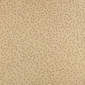  Balsan 610 Moon