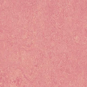  Forbo Marmoleum Decibel On Order 326835 Honey Suckle