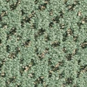  Balsan 240 Basilic