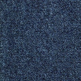  Ruscarpettiles Rct Status