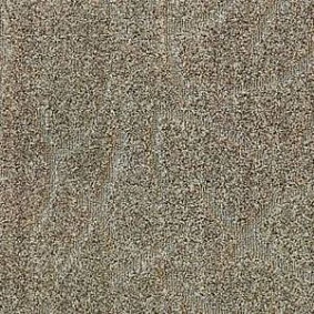  Sintelon 00126