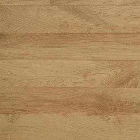  Tarkett Omnisports R65 Th Maple2