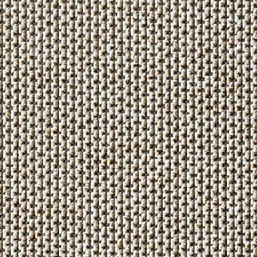 Ковролин Carpet Concept Eco Zen 280005 40081