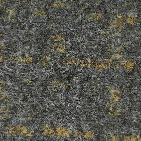  8020