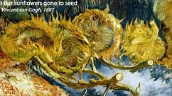 Ковролин Flotex Vision Pattern 940 Van Gogh Sunflowers