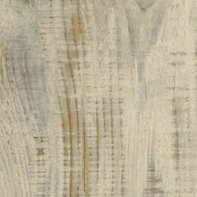  Vertigo 3319 Snow Pine