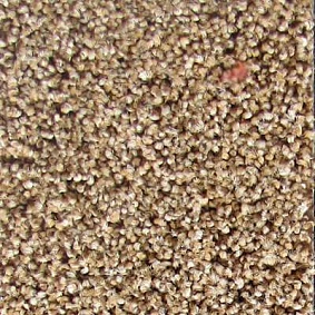  Tapibel 45520