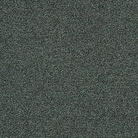Ковровая плитка Interface Polichrome Stipple 4265003 Caviar