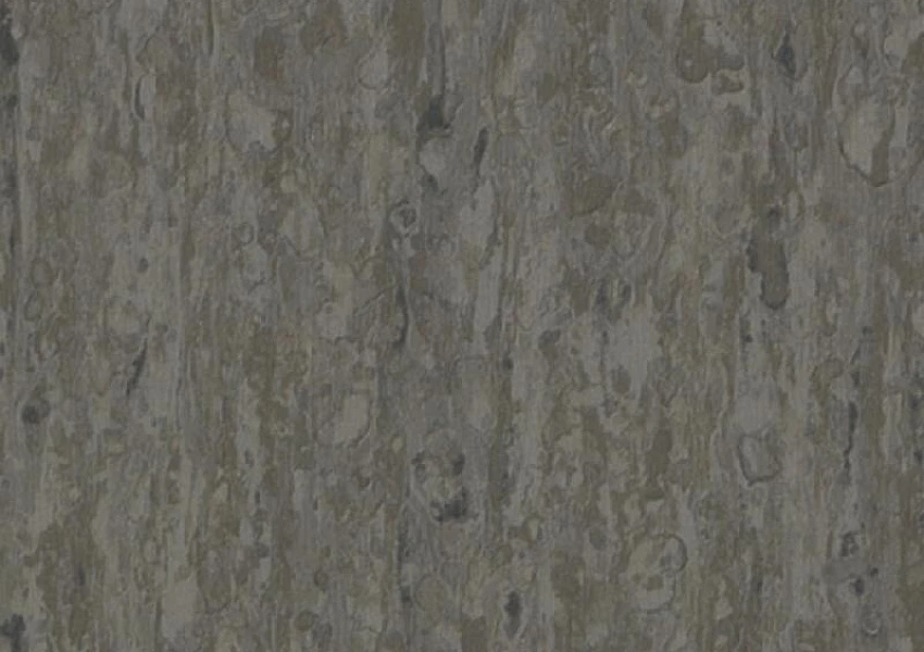 Линолеум Grey Brown 0898 
