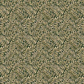  Agnella Creation Lakis Cedar