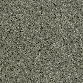  Shaw Design Texture Platinum 344