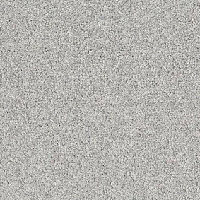  Desso1 Desso Palatino 2502