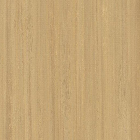 Линолеум Forbo Marmoleum Modular Lines 5234