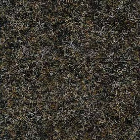  4204