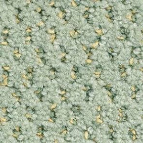  Balsan 221 Sauge