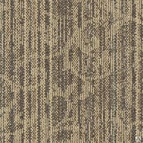  Interface Assur Seleucia Girsu