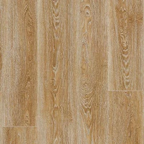  Scarlet Oak 274