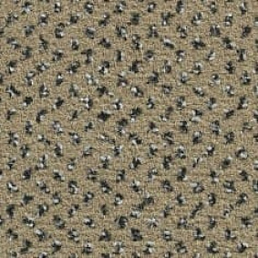  Ruscarpettiles Rct Apple