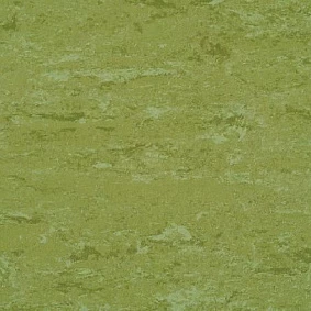  Gerflor Linodur Sport 1011 Avocado Green