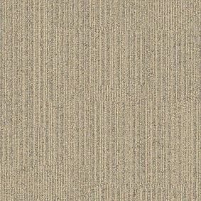  Interface 304286