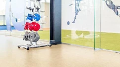 Линолеум Marmoleum Sport 83120 