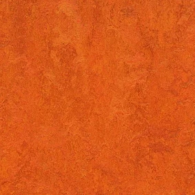  Forbo Marmoleum Decibel On Order 312635 Kyoto