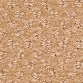  Balsan 620 Poudre